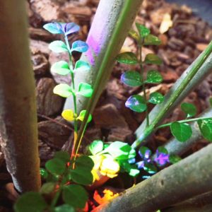 image_HIKARIのコピー