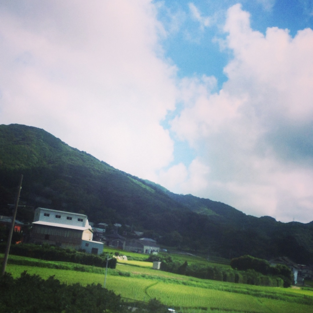 お休みの間に