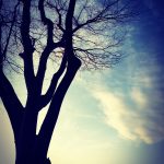 Evernote Camera Roll 20150205 075826