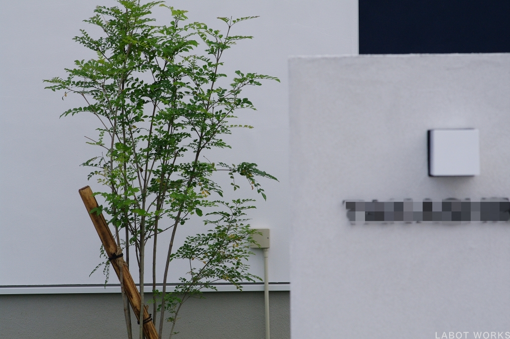 LABOT::白に染まれ