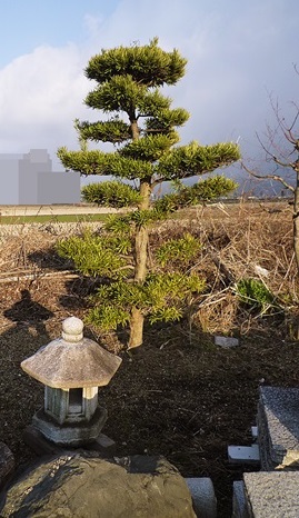 上手く使ってオシャレにデザインして!