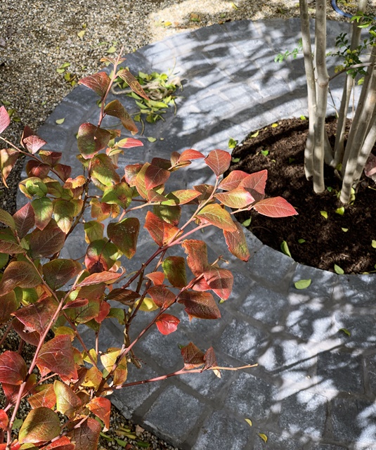 京都 LABOT - lab-t.com - 目隠しフェンスとデッキを作って、使えるお庭にリフォーム -