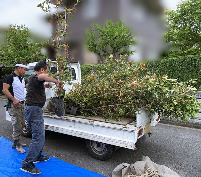 時間がかかったけど取り寄せてもらって良かったな。 | 京都と滋賀の外構ならラボット 時間がかかったけど取り寄せてもらって良かったな。 | 京都と滋賀の外構ならラボット
