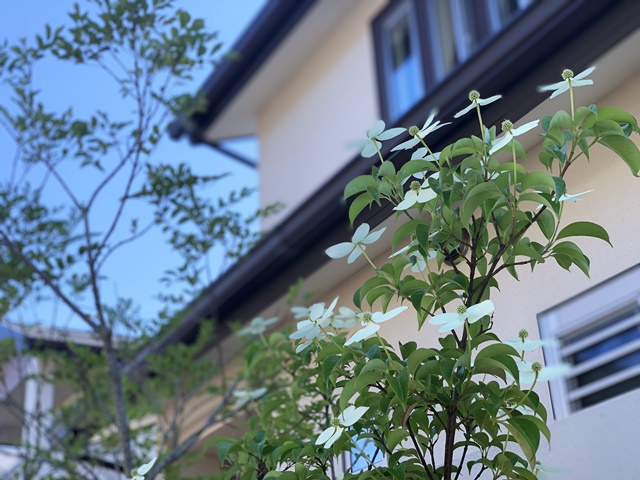 「LABOT」は京都，滋賀のエクステリア、ガーデニングを中心に外構・お庭工事のデザイン、設計、施工管理を一貫して行うエクステリア専門店です。 | この夏、楽しすぎるお庭