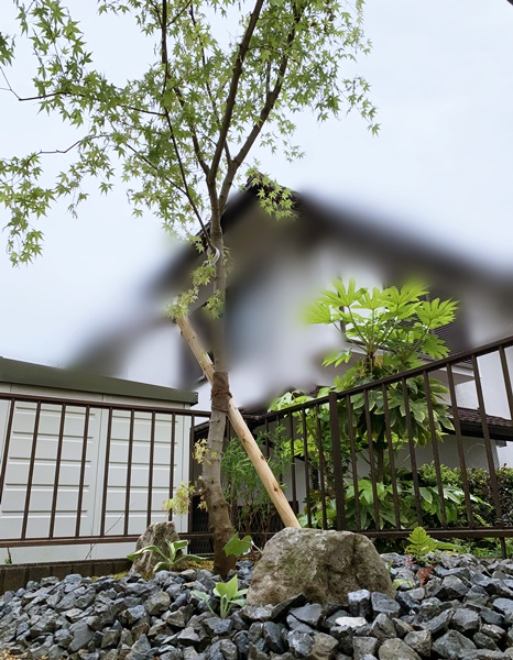 京都 LABOT - lab-t.com - 門回りは洋風ガーデン、庭側は和のイメージJで。草津市K様邸の植栽工事です。 -